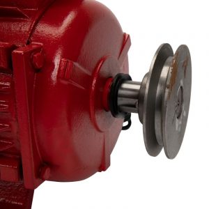 motor-electric4-0kw3000rpmtroianrosu