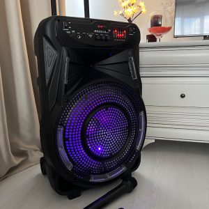 boxa-activa-100w-rms-bluetooth-microfon-wireless--radio-fm