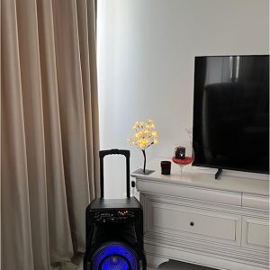 boxa-portabila-wainer-sk02--70w-rms-bluetooth-radio-fm