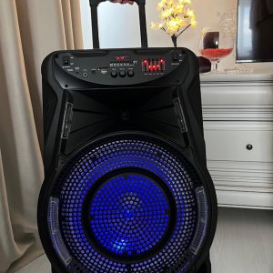 boxa-activa-100w-rms-bluetooth-microfon-wireless--radio-fm